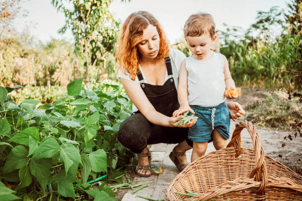 istock Family gardening together 1279114507