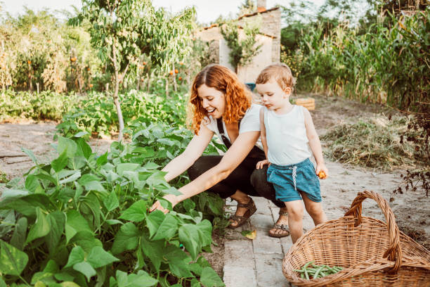 istock Family gardening together 1279114573