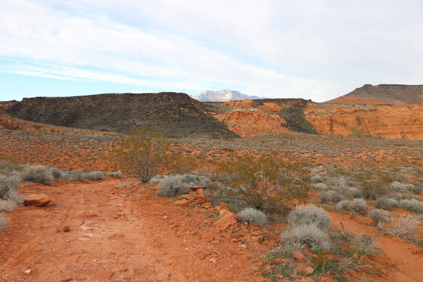 istock Hiking trail at Red Cliffs National Conservation Area, St George, Utah 1279116120