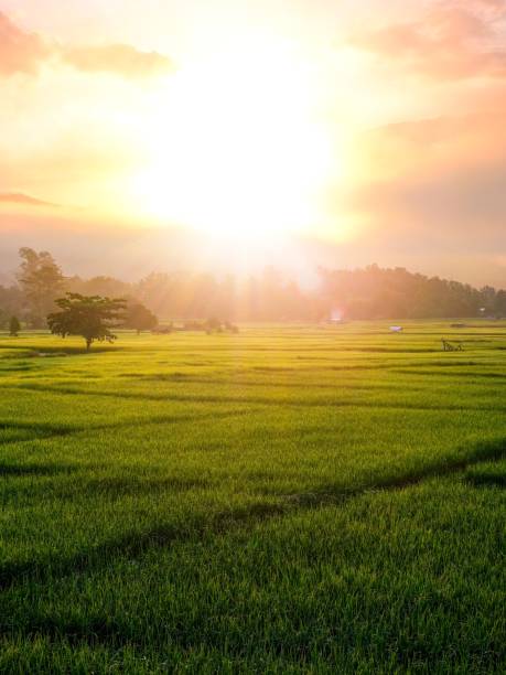 istock The beauty of nature. 1279118231