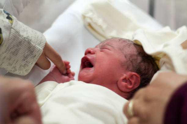 istock Newborn baby 1279119423