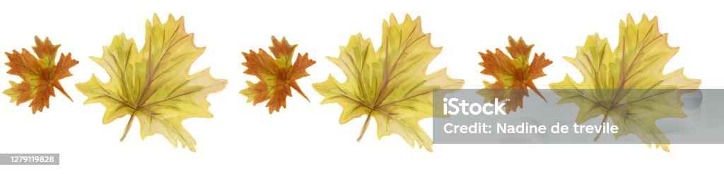 Horizontal Leaf Pattern Seamless Horizontal Pattern Of Autumn Maple Leaves Pattern Of Bright ...