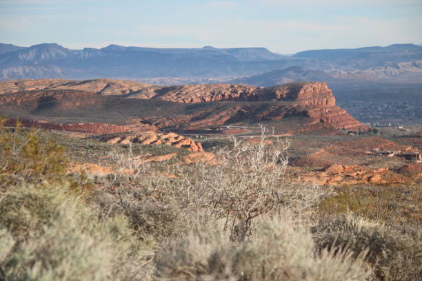 istock Red Rock landscape, Red Cliffs National Conservation Area, Utah 1279120742