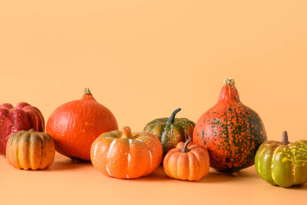 istock Thanksgiving day or Halloween different pumpkins harvest on orange background. 1279125394