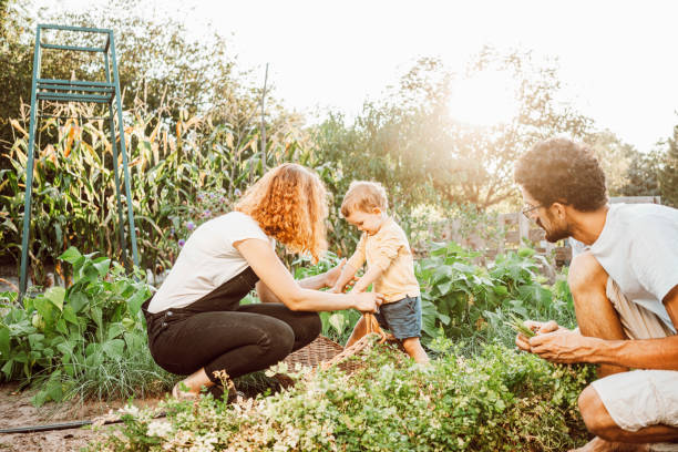 istock Family gardening together 1279126156
