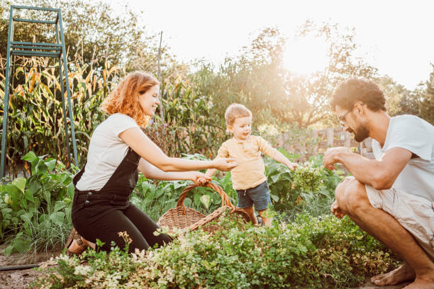 istock Family gardening together 1279126157