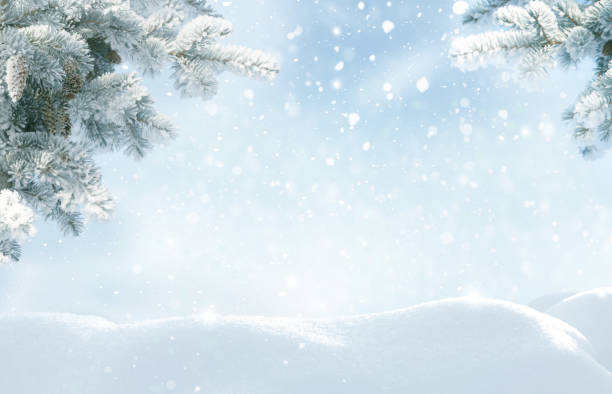 schneefall im winterwald. wunderschöne landschaft mit schneebedeckten tannenbäumen und schneeverwehungen. frohe weihnachten und glückliches neues jahr gruß hintergrund mit kopierraum. wintermärchen. - winter stock-fotos und bilder
