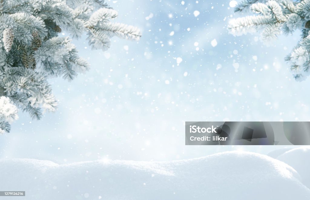 Snowfall in winter forest.Beautiful landscape with snow covered fir trees and snowdrifts.Merry Christmas and happy New Year greeting background with copy-space.Winter fairytale. Backgrounds Stock Photo