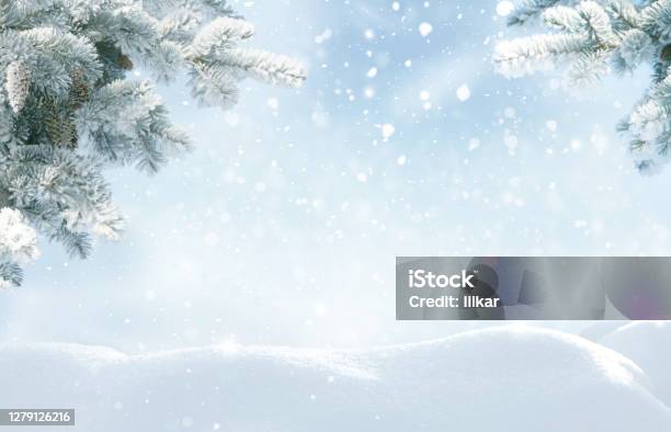 Snowfall In Winter Forestbeautiful Landscape With Snow Covered Fir Trees And Snowdriftsmerry Christmas And Happy New Year Greeting Background With Copyspacewinter Fairytale Stock Photo - Download Image Now