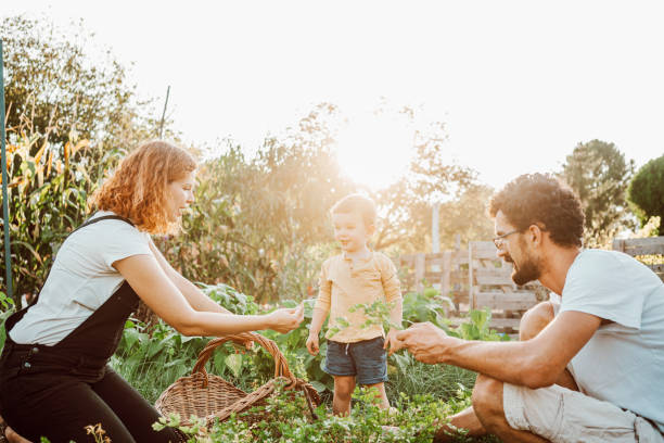 istock Family gardening together 1279126317