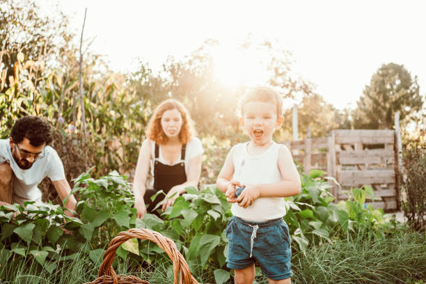 istock Family gardening together 1279126324