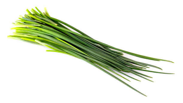 istock Green onion isolated on the white background 1279126325