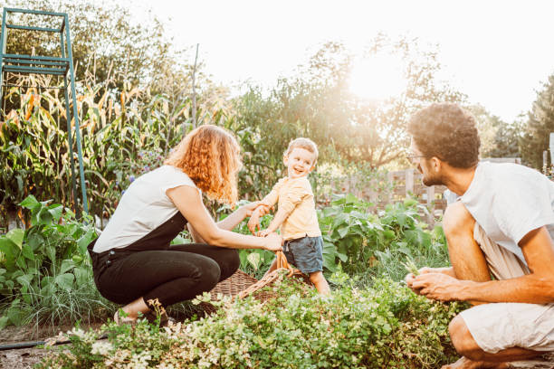 istock Family gardening together 1279126341