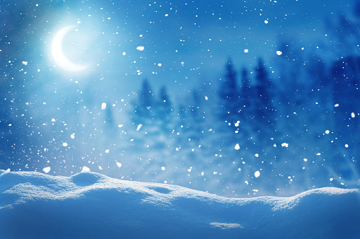 Winter  background .Merry Christmas and happy New Year greeting card with copy-space. Christmas night landscape with moon  and fir trees