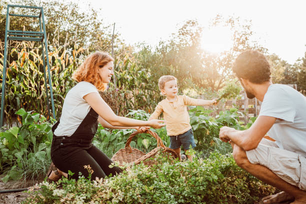 istock Family gardening together 1279126428