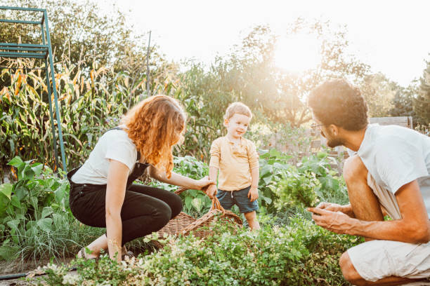 istock Family gardening together 1279127123