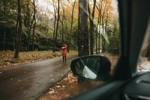 istock Woman in a forest as seen from inside car 1279127759