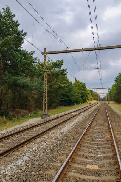 istock Railroad track through a forest landscape with electricity lines above 1279130501