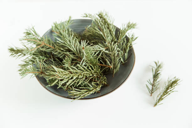 istock Fir pine branches on the plate. Christmas tree on the white background. Copy space. Minimalist Scandinavian style 1279131728