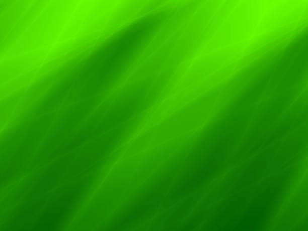 ilustrações de stock, clip art, desenhos animados e ícones de grass green art abstract nature eco wallpaper - 13431