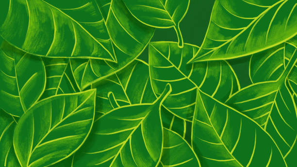 ilustrações de stock, clip art, desenhos animados e ícones de leaves of jungle overgrown in summer. - background cosy beauty close up