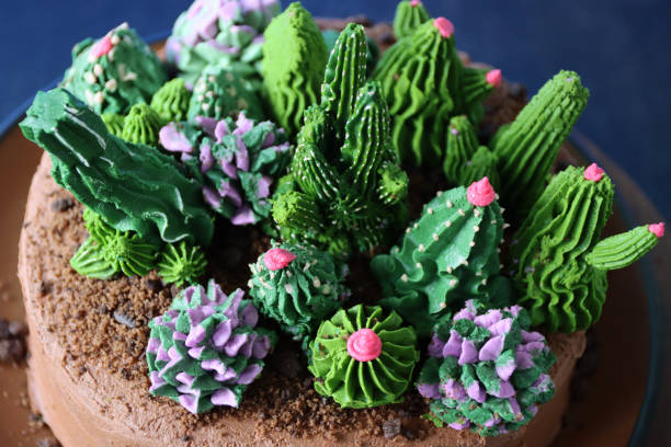 Stock photo showing close-up, elevated view of an indulgent dessert of chocolate cake covered in butter cream and decorated with cactus garden detailing. The cake is topped with sprinkled grated chocolate 'soil' and biscuit crumb 'gravel' and butter icing cactus plants in various shades of green. imagen de primer plano de pastel de chocolate en capas, casero y decorado con detalles de jardín de cactus, plantas de cactus glaseado de mantequilla con afeitado de chocolate rallado y suelo de migas de galletas, sobre fondo oscuro, vista elevada