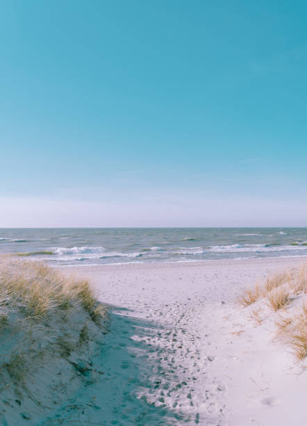 Sea, blue cloudless sky and white sand beach.