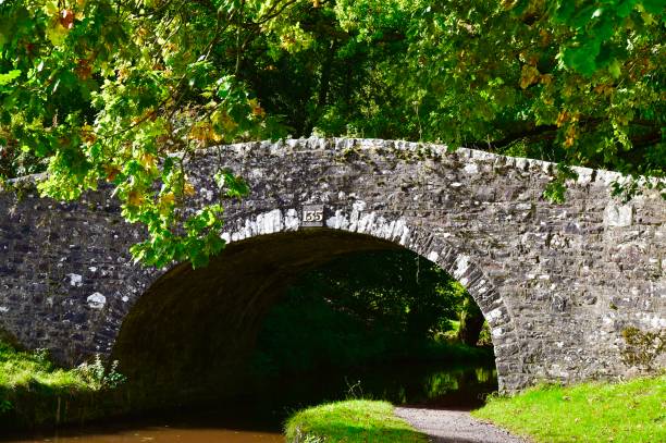 istock UK Canal in Autumn 1279137204