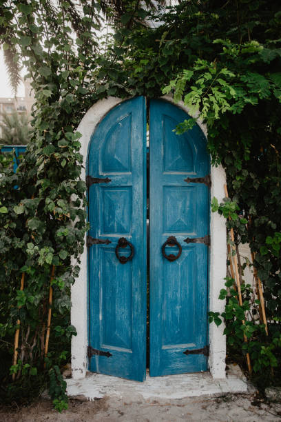 istock old door in blue with plants around 1279137269