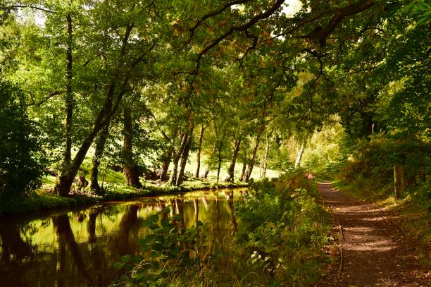 istock UK Canal in Autumn 1279138189