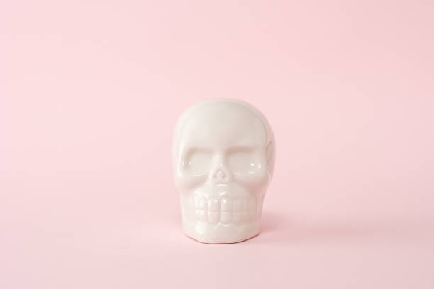 istock White skull on a pink background. Minimal Halloween spooky concept. 1279138499