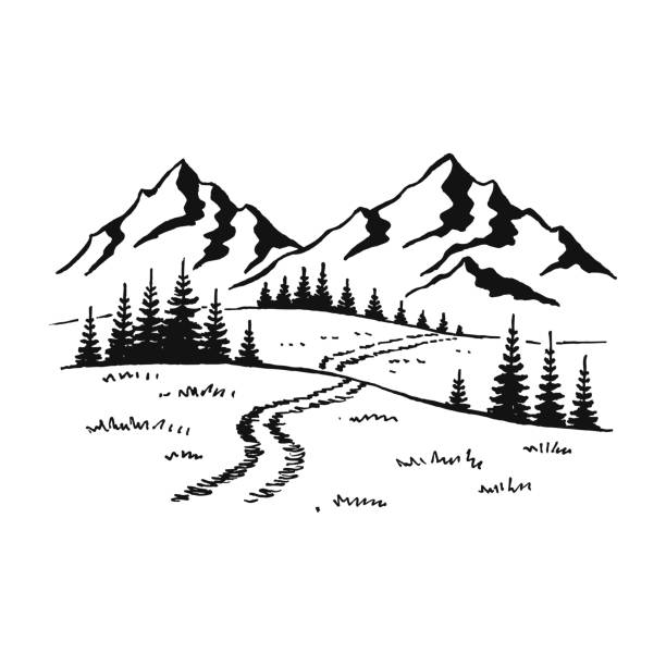 berg mit pinien und landschaft schwarz auf weißem hintergrund. handgezeichnete felsige gipfel im skizzenstil. vektor-illustration. - road street nature mountain peak stock-grafiken, -clipart, -cartoons und -symbole