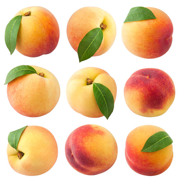istock Peach isolated on white background, clipping path, full depth of field 1279143590