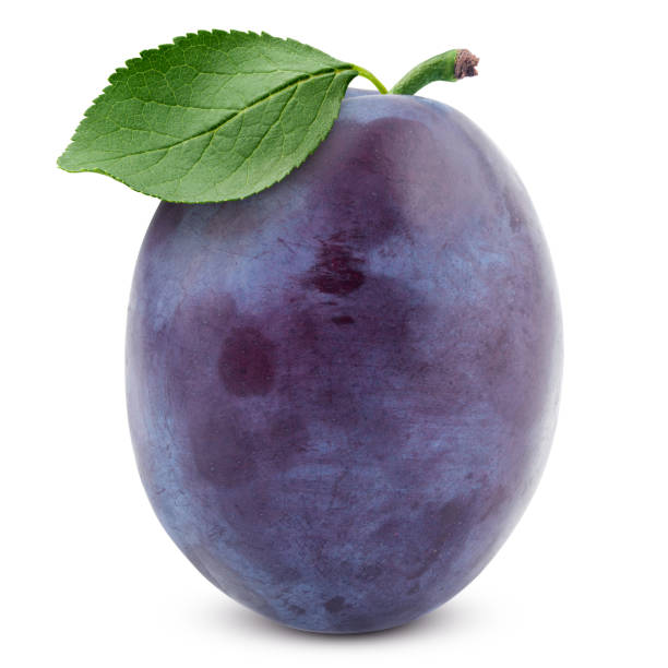 istock plum isolated on white background, clipping path, full depth of field 1279143638