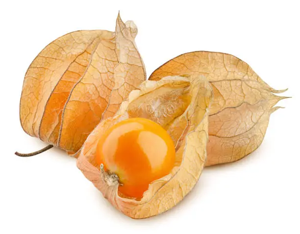 Cape gooseberry, physalis isolated on white background, clipping path, full depth of field