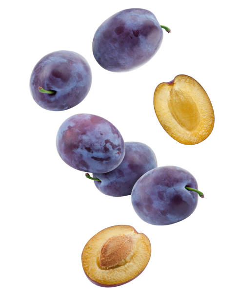 Falling plum isolated on white background, clipping path, full depth of field
