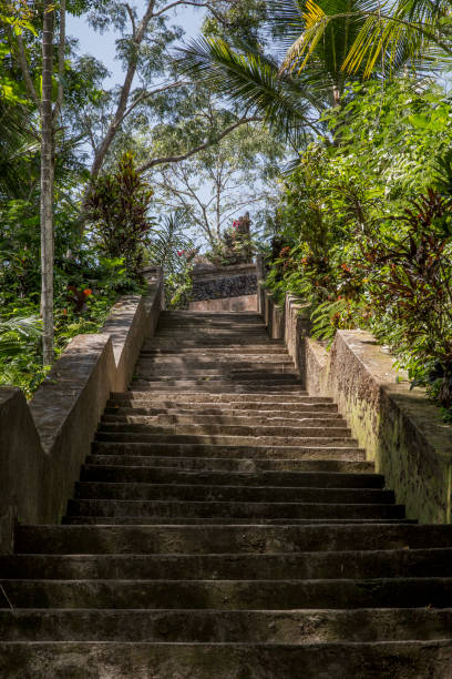 istock Staircase in jungle area 1279148723