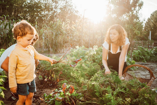 istock Family gardening together 1279149642