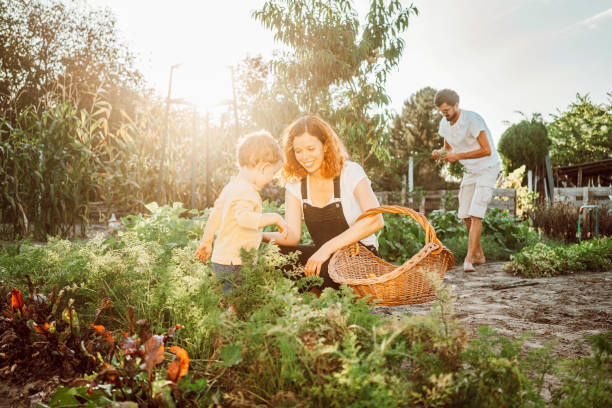 istock Family gardening together 1279149751