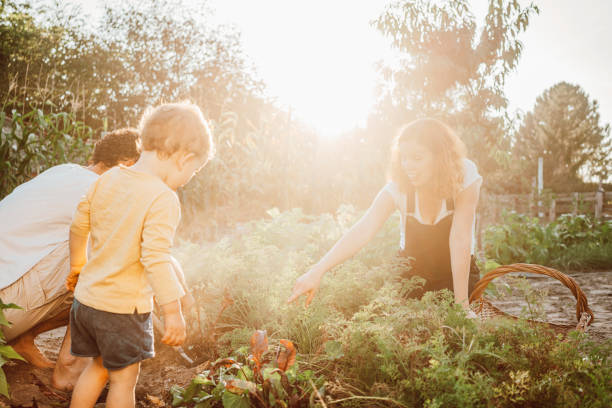 istock Family gardening together 1279149895
