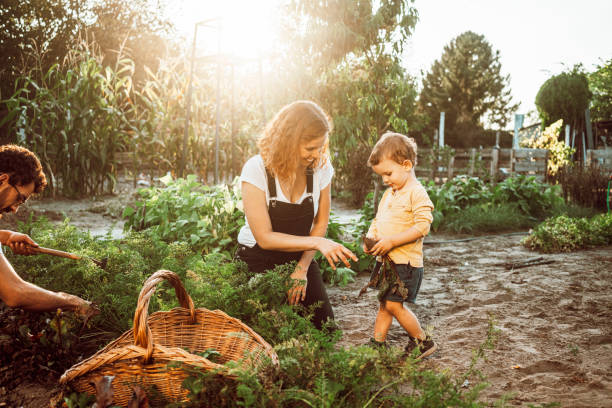 giardinaggio di famiglia insieme - gardening child vegetable garden vegetable foto e immagini stock