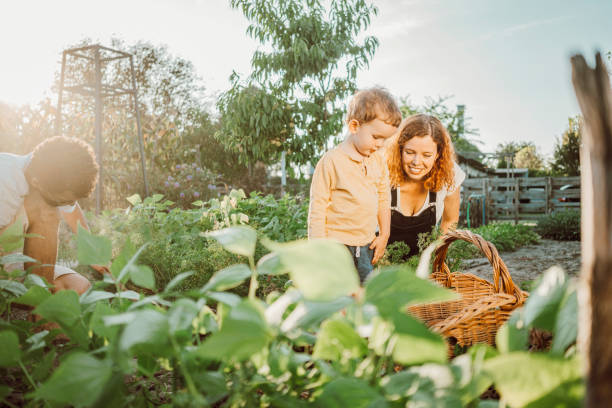 istock Family gardening together 1279154184