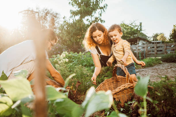 istock Family gardening together 1279154201