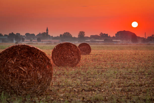 Hay bales in a field at sunset. Italian village in the background.