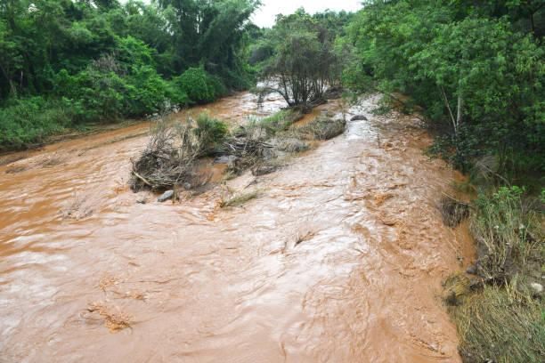 タイの豪雨後の川の水洪水 - harvey ストックフォトと画像