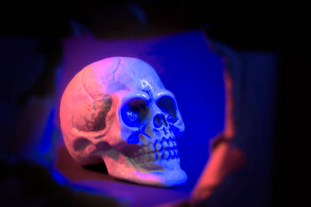 istock Close-up of colorful human plastic skull on black background 1279154589