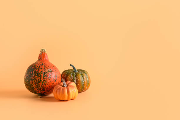 istock Three pumpkins on orange background. Thanksgiving day or Halloween mock up. 1279154969