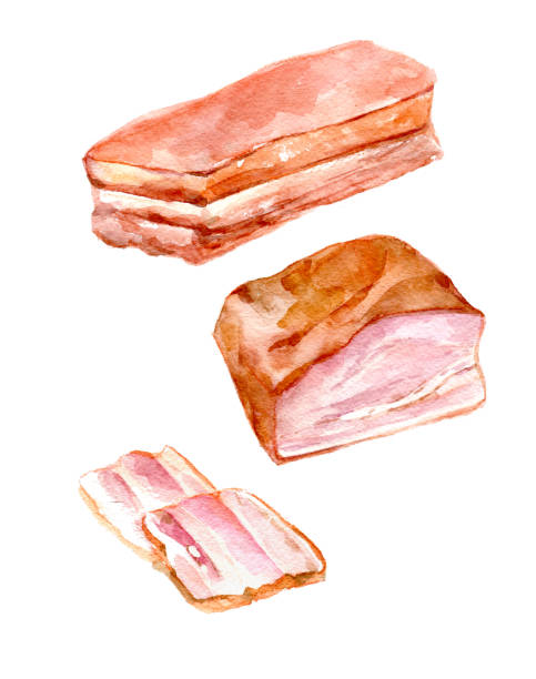 ilustraciones, imágenes clip art, dibujos animados e iconos de stock de watercolor food clipart - un jamón, un trozo de jamón, una rebanada de jamón - bacon illustration and painting pork ham