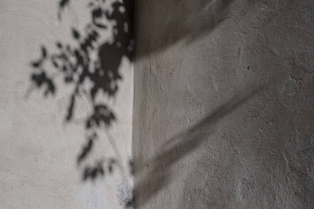 istock Beautiful background with a part of a light wall with shadows element. Plants shadow, old stucco wall, texture. 1279157439