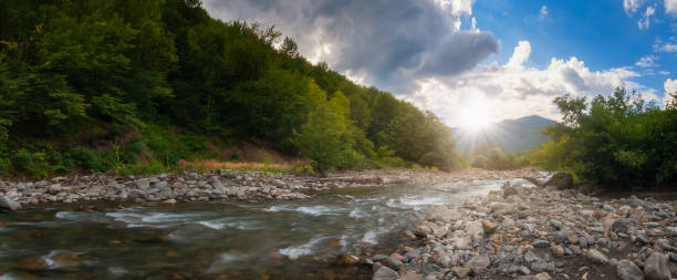 아름다운 화창한 여름 풍경. 빠르게 흐르는 산강을 통해 일몰 - valley georgia river mountain 뉴스 사진 이미지